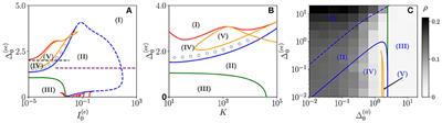 Asynchronous and Coherent Dynamics in Balanced Excitatory-Inhibitory Spiking Networks